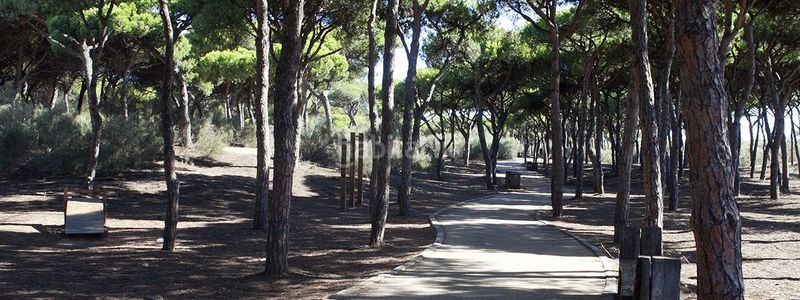 Foto b1dc1935-4d6e-4429-8b8b-928e24740373. Casa adosada adosado en urbanización privada con terraza y piscina, a 200 metros de playa central en Isla Cristina