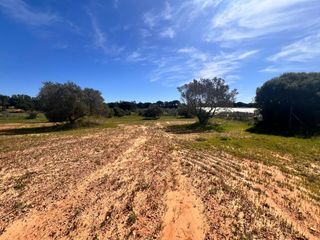 Fondo rustico in Villablanca. Bonita finca de secano con olivos 5 minutos de villablanca