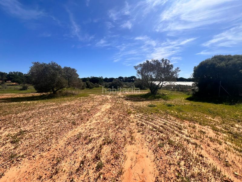 Foto 0d3498d2-80c3-4930-b18b-1cd60e3000c6. Finca rústica a Villablanca