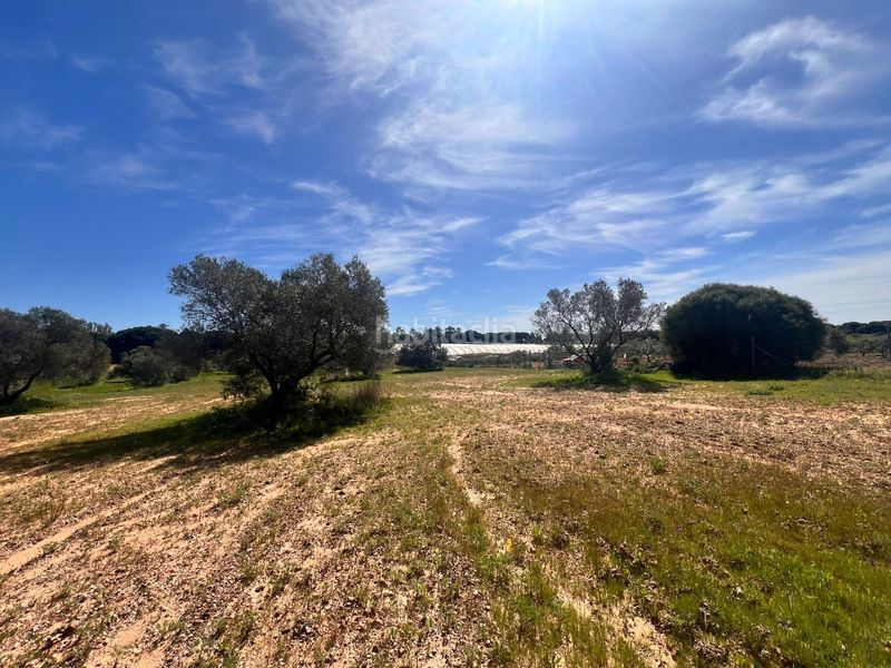 Foto 47f4eb0f-0336-4086-ab50-fbd8ab48d0b7. Finca rústica a Villablanca