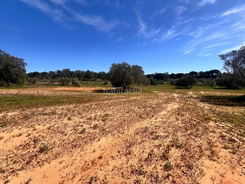 Foto d4274d44-6534-4a13-aded-e43d286edf37. Finca rústica a Villablanca