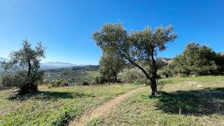 Wohngrundstück in Calle Santa Argéntea