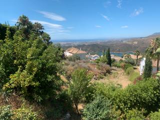 Residential Plot in Terreno sau 10