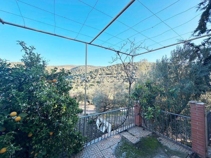 Foto c4dd6de9-c66f-4335-8353-a3c3fc8b8234. Casa a diseminado la parrilla 70 a Villanueva de Algaidas