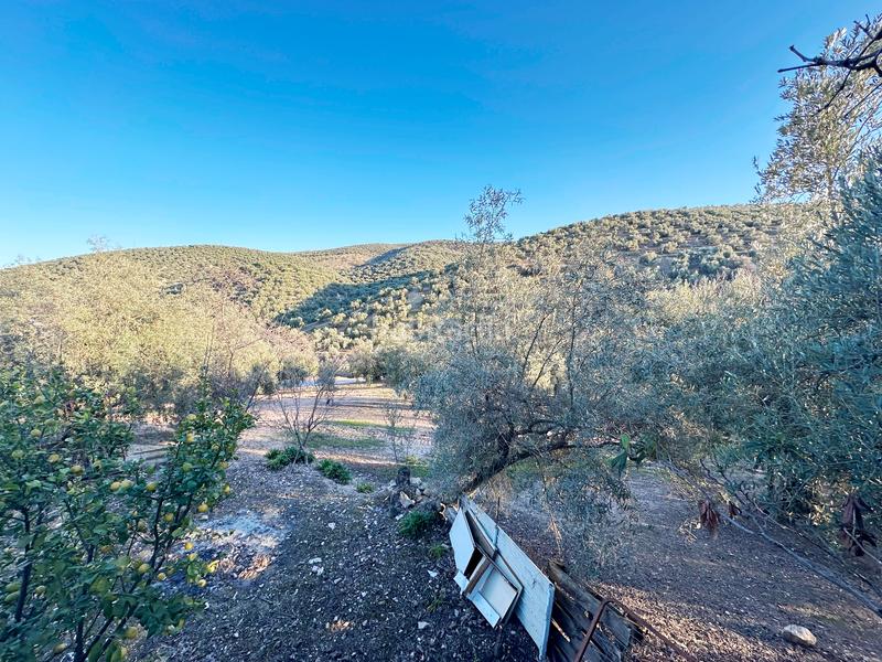 Foto e95fa45a-c12e-44b2-ba4b-abac47395d3c. Casa a diseminado la parrilla 70 a Villanueva de Algaidas