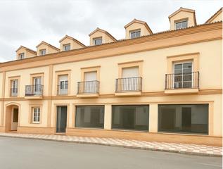 Local Comercial a Calle la laguna 2