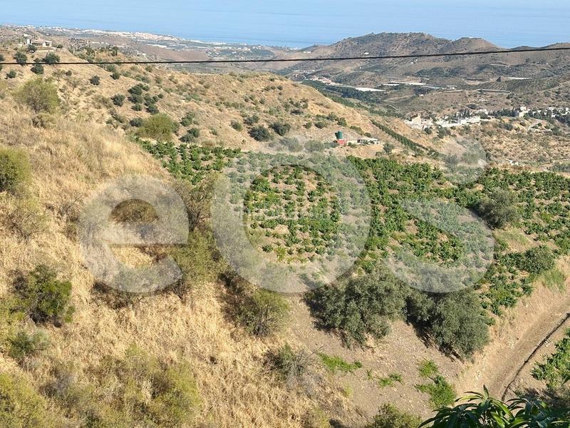 Foto 0285eb86-fbd9-498e-8c2b-4bb7ef8eca59. Finca rústica en n/a en Macharaviaya