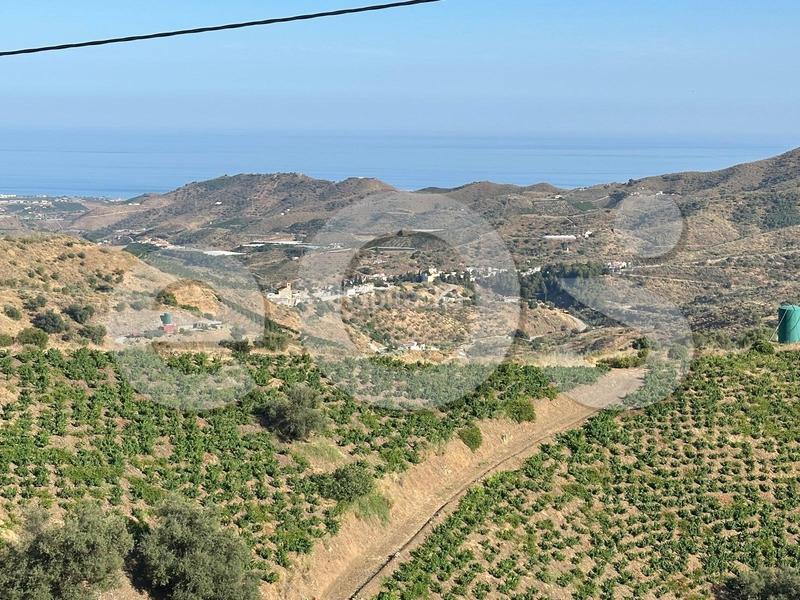 Foto 8de5650a-6a93-48b7-a4a9-37ad04038012. Finca rústica en n/a en Macharaviaya