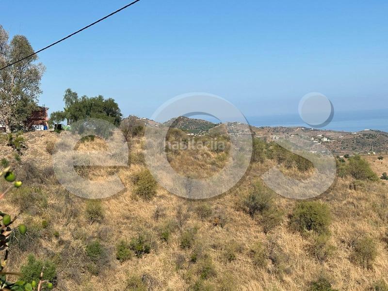 Foto d29a7747-d527-4f70-a4a8-a01cb3fb39b4. Finca rústica en n/a en Macharaviaya