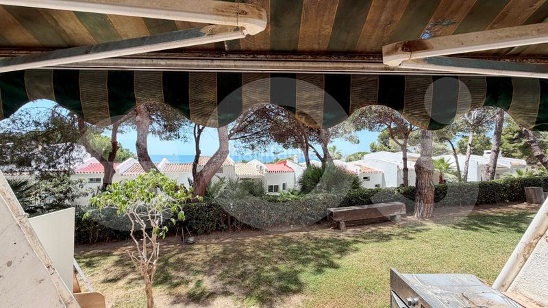 Foto db33f0d7-9384-4812-ae61-c9cd456ce843. Pis a Seghers Estepona