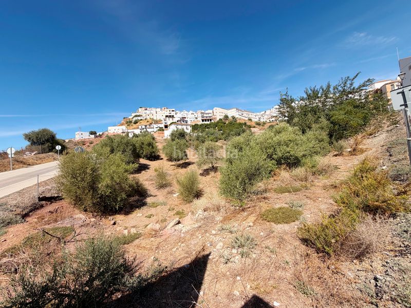 Foto 1b356d27-cd6b-4ed3-8c49-32ede0643241. Terreny residencial a calle rehoyada 15 a Almogía