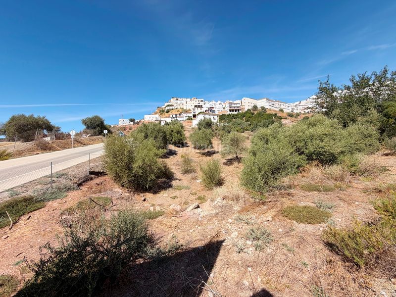 Foto 3f928914-ed87-4bfa-ae80-5e6d3147554d. Terreny residencial a calle rehoyada 15 a Almogía