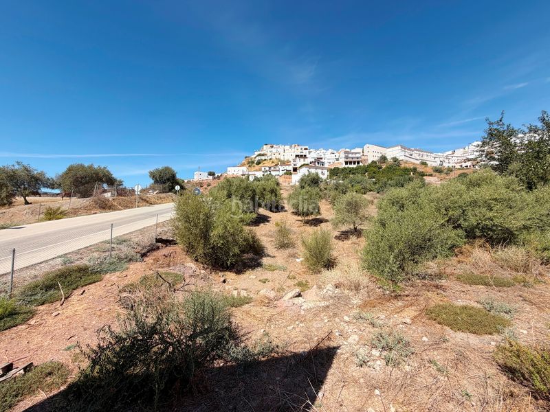 Foto a3f32788-583f-4820-b58e-cbe9627ab687. Terreny residencial a calle rehoyada 15 a Almogía