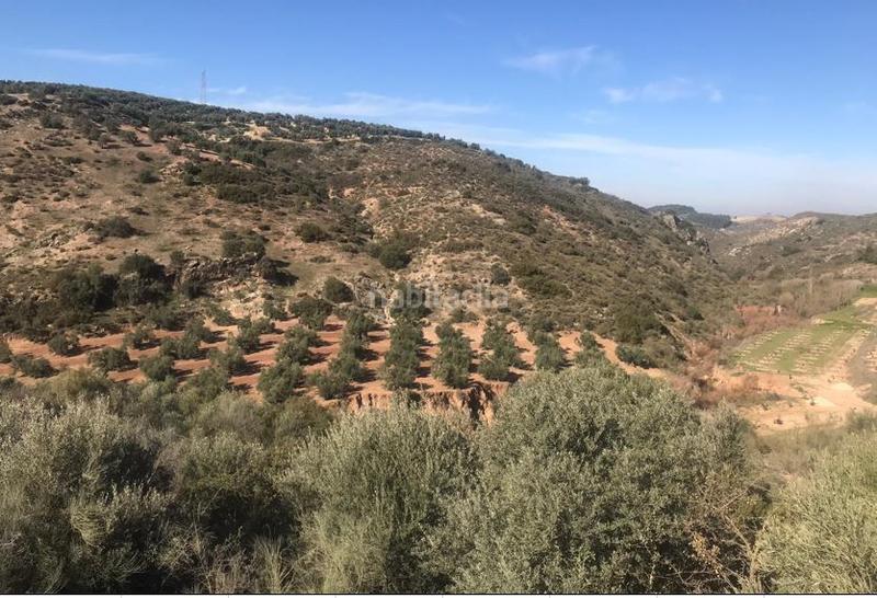 Foto 21158f58-5974-4ef4-a094-9cdd21fa2010. Finca rústica en Alameda