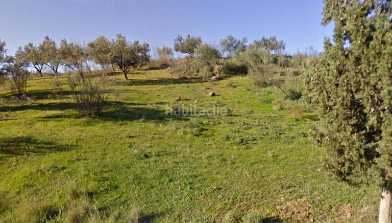 Foto af12e73b-2283-4f42-af6d-31ec05a3a49f. Fondo rustico in Viñuela