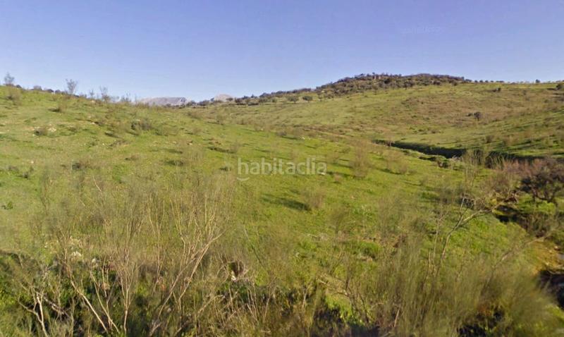 Foto b3ac6d05-e445-4897-83bc-9d52450e1971. Fondo rustico in Viñuela