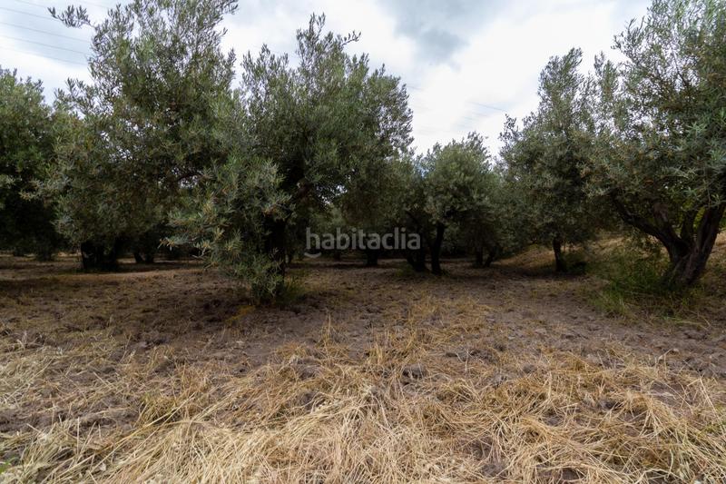 Foto 2b2a2740-5ac8-40f1-87e6-b94fbcc47941. Finca rústica oportunidad única , almería! en Rioja