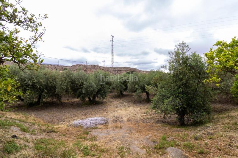 Foto 2dc8b0c0-d657-43f4-95b3-c4106ca00881. Finca rústica oportunidad única , almería! en Rioja