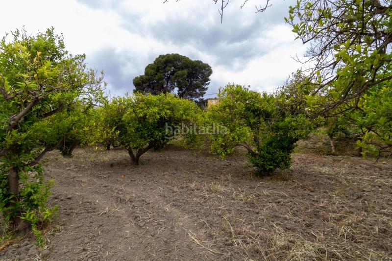 Foto 57201c44-5dca-4488-89a1-1c7de8f81090. Finca rústica oportunidad única , almería! en Rioja