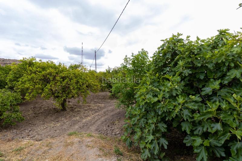 Foto 85b0f7f7-fe3a-4116-ae83-c62565ca4d32. Finca rústica oportunidad única , almería! en Rioja