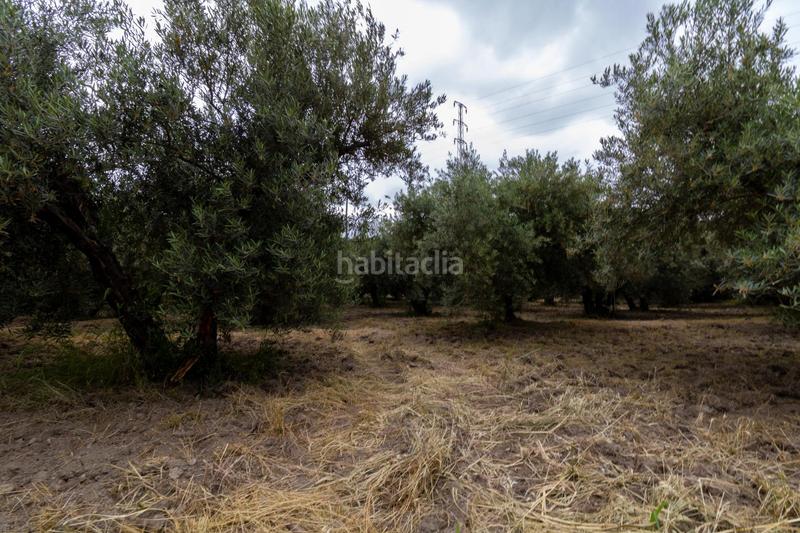 Foto ad0fc886-4ebb-486e-b7a4-71ba725d8cc2. Finca rústica oportunidad única , almería! en Rioja
