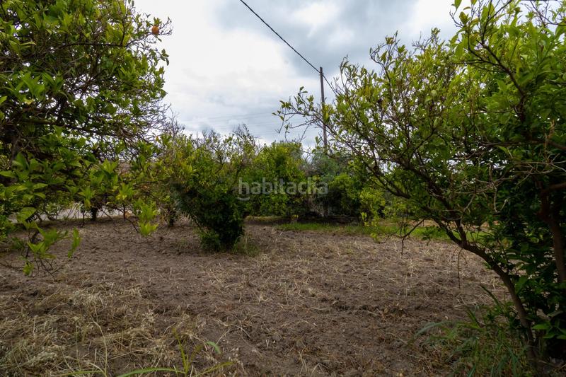 Foto b1aeb592-9f0e-43e4-9255-42bf20dbd630. Finca rústica oportunidad única , almería! en Rioja