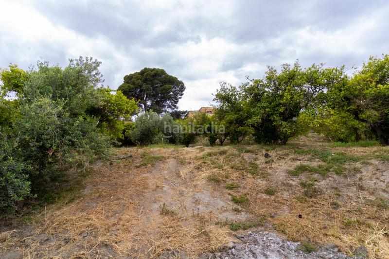 Foto b7ec635f-bc21-43c4-bf9e-b54c0b9ec7a4. Finca rústica oportunidad única , almería! en Rioja