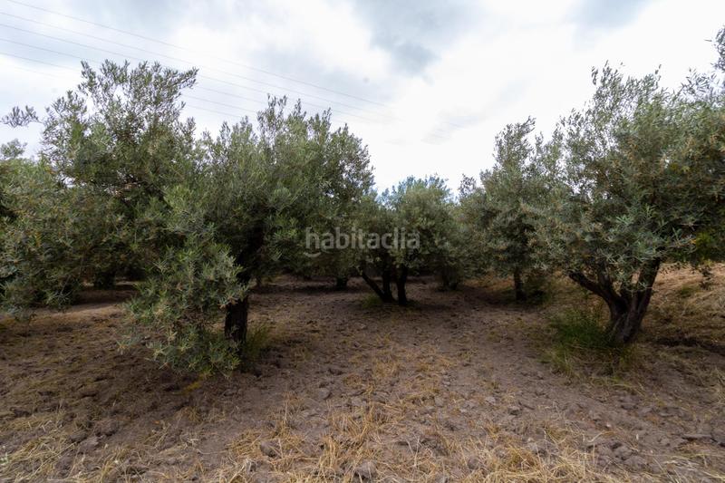 Foto c077b3fb-b98e-4afe-b6ce-0179075e9c57. Finca rústica oportunidad única , almería! en Rioja