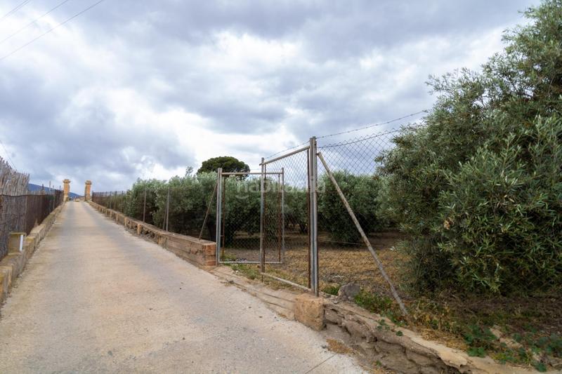 Foto ee07888e-5edf-4ee9-83b3-8036a49a1c4b. Finca rústica oportunidad única , almería! en Rioja