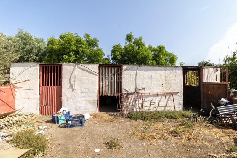 Foto d04db9f5-f6c1-4660-aa94-6edbc65eaad4. Terreny residencial a Benahadux