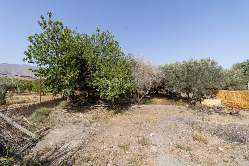 Foto fe7e64eb-0551-4f3d-90e8-8c05fb449174. Terreny residencial a Benahadux