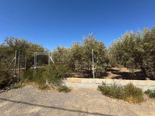 Finca rústica a Gádor. Terreno rustico en gádor