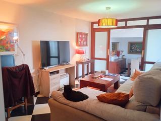 Semi detached house in Casco Histórico