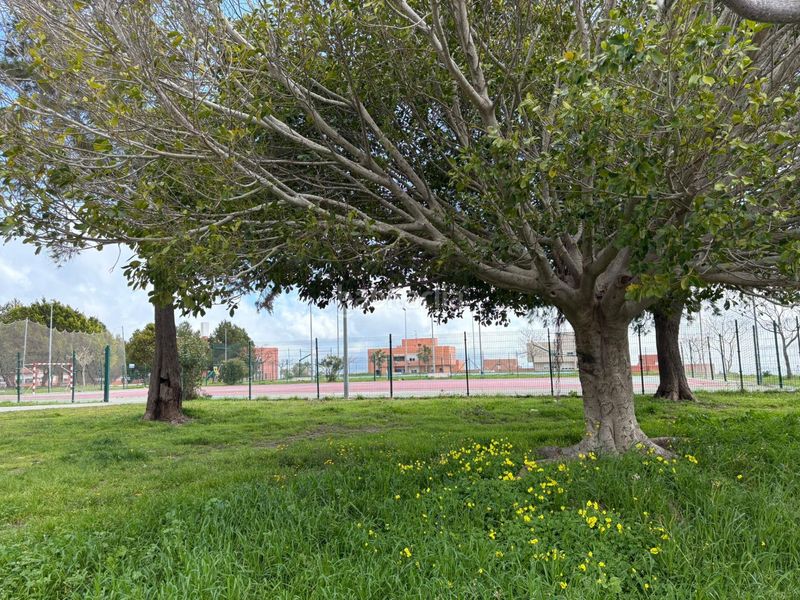 Foto 9a8b671c-a415-41d0-b803-7f47e93ad1e1. Pis a San Bernabé Algeciras