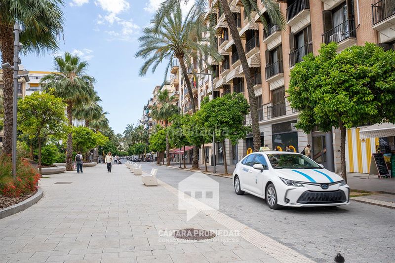 Foto ad6f4e41-b13c-446e-9ee9-b93b153f6cd8. Pis a Centro Huelva
