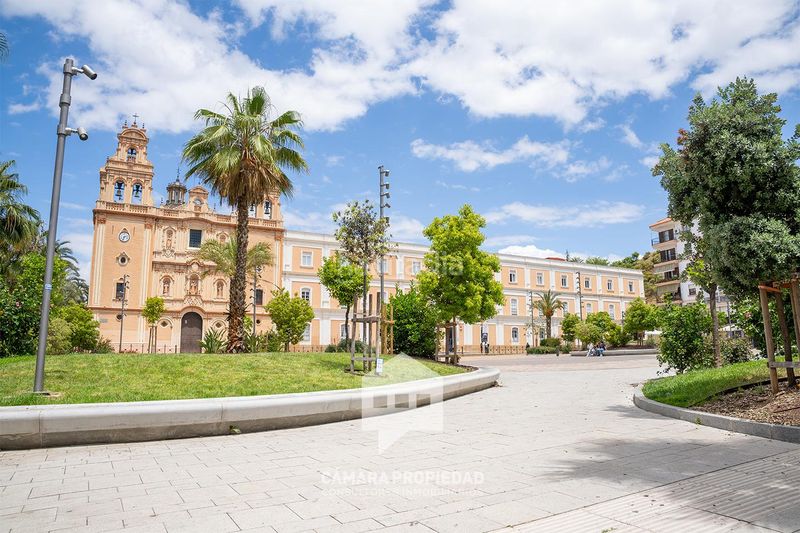 Foto ca5c6fba-f8a4-4c04-8c1e-f098878dbdea. Pis a Centro Huelva