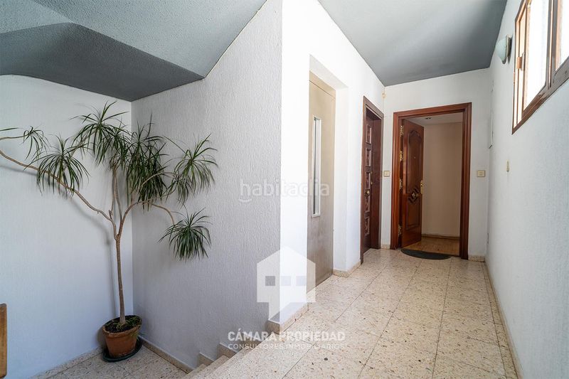 Foto dc20bf4e-2a40-413c-bd71-fcabd6be5fa4. Pis a Centro Huelva
