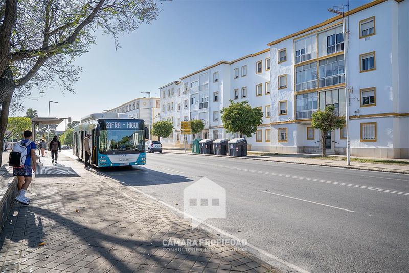 Foto 8dd0823d-0ccf-4c34-a377-746e0bfc6358. Pis a Isla Chica Huelva
