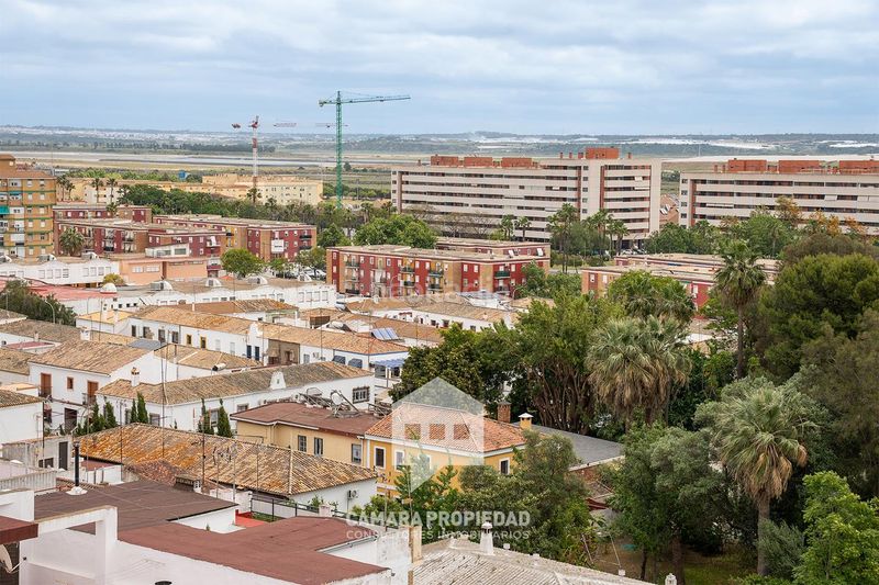 Foto 9a74e70d-cfe1-4908-925a-6a186dc70fec. Pis a Isla Chica Huelva