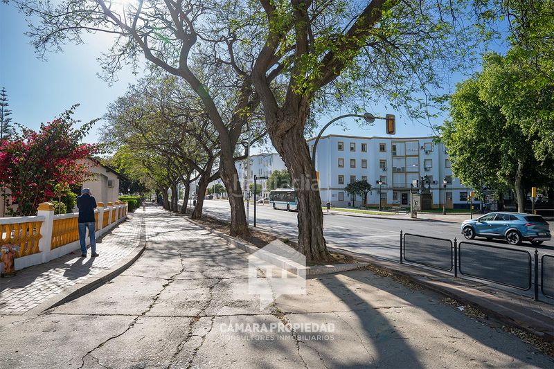 Foto abf244ab-5200-4531-942c-47a27325cf3d. Pis a Isla Chica Huelva