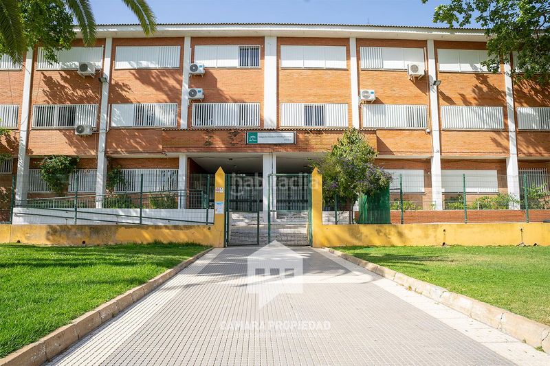 Foto 19a2f0f4-2615-4847-aeec-3c1cf24aa717. Pis a Molino de la Vega Huelva