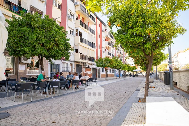 Foto f427a913-3f65-475d-a98d-a1148208cdba. Pis a Molino de la Vega Huelva