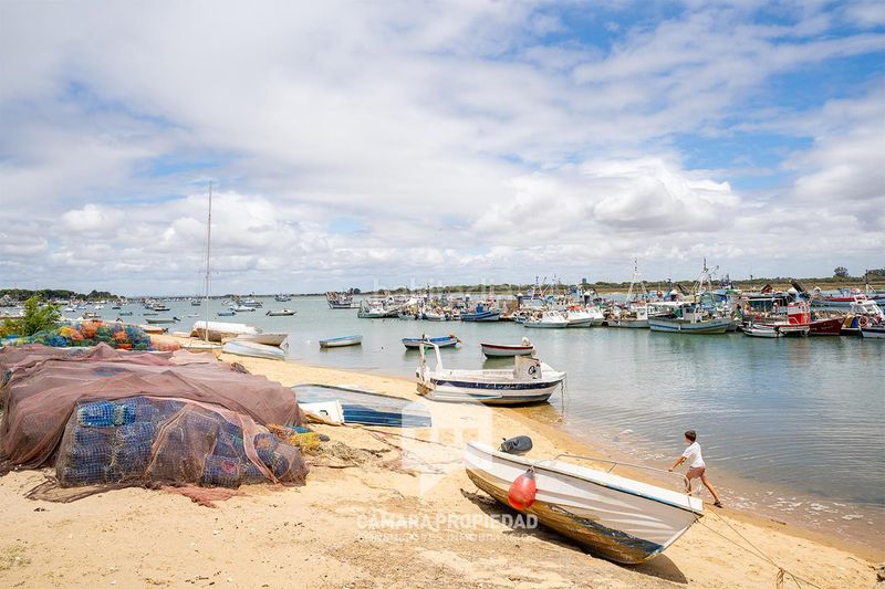 Foto a11b9d22-915b-4a8a-ba75-d4b5c092100d. Estudi a Punta Umbría