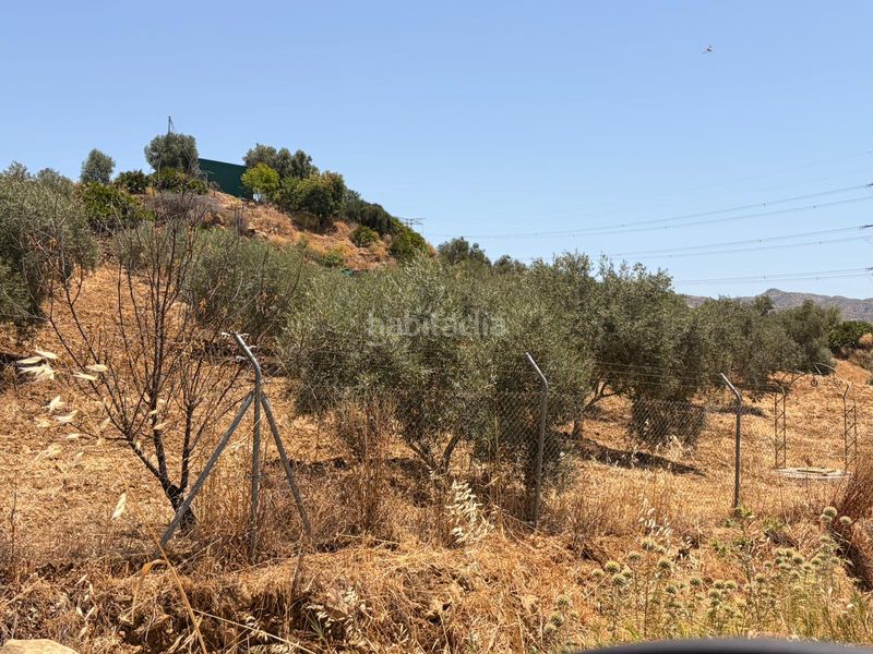 Foto 17ce55d9-5429-4ae4-916c-4a362d6657c4. Finca rústica a Álora