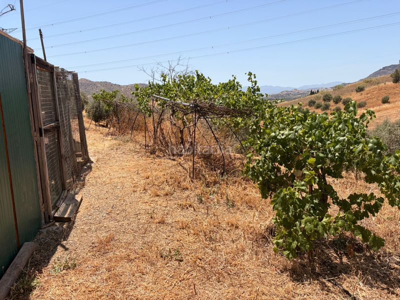 Foto 411f69bb-ff76-4786-859e-47f864f95c8d. Finca rústica a Álora