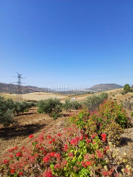 Foto 47bd17aa-6a77-4426-9c5d-32d701f40066. Finca rústica a Álora