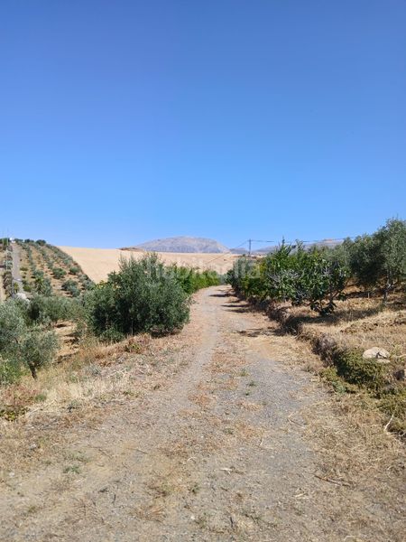 Foto c1e57102-3eb4-470a-a81d-bfb6372555a1. Finca rústica a Álora