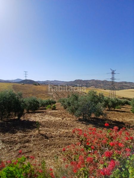 Foto db8e8c7f-f690-4550-8df4-bf6b15792049. Finca rústica a Álora