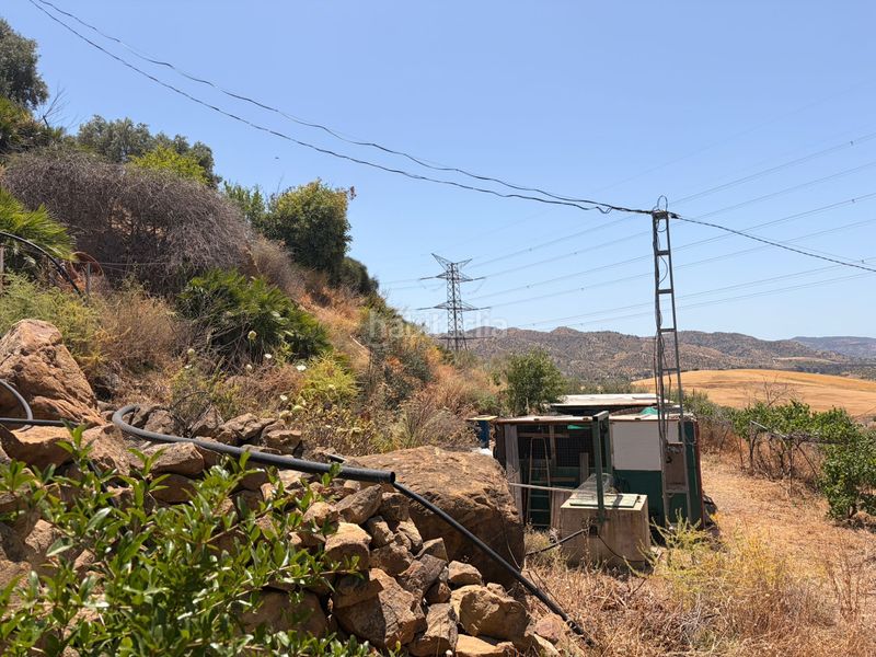 Foto f329cb16-c5dd-4dee-bbdd-0c67cdcae7e3. Finca rústica a Álora
