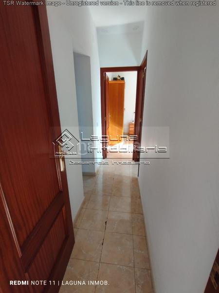 Foto 780c5b1f-e060-46f9-ba6a-4fea3443fb63. Pis a Alameda - Mentidero - Teatro Falla Cádiz